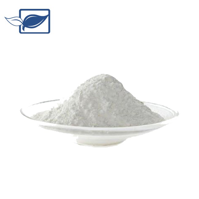 Kreatin monohidrat v prahu